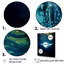 Manta géant bleu océanique - reproduction d'art mural plage et océan-95891082-95891086