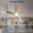 Damecia 52'' Ceiling Fan with LED Lights-297176346