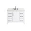 Meuble-lavabo simple 42 po_Traditional_VF60642-BS-20934089