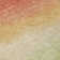 Machine Washable Indoor/Outdoor Xhevrie Coral Rug
