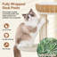72 cm H Cat Tree / Condo