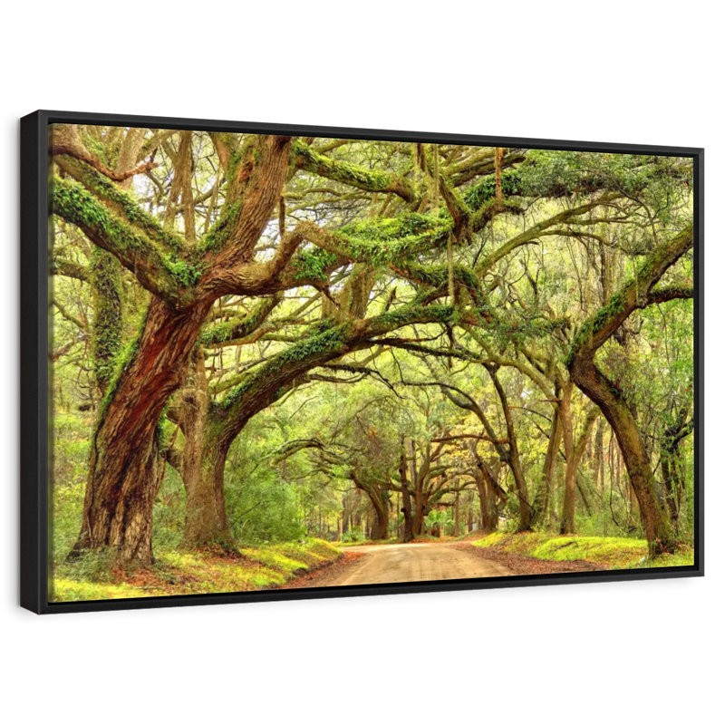 Charleston Oak Forest, Cadre flottant noir, 37 po x 25 po