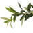 Faux Olive Tree-Faux Olive Tree-8'