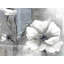 Fleurs encadrées monochromes et argentées