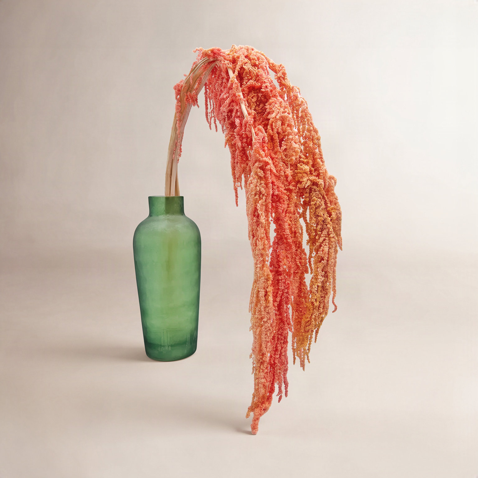Modern Art Preserved Amaranth Stems, Pink