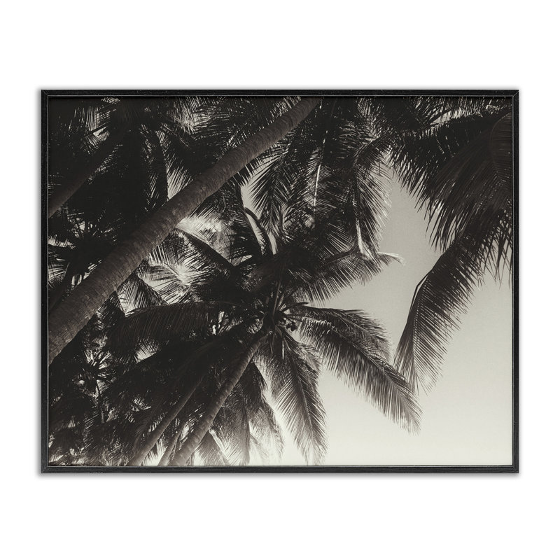 «Giclee Art» par Acosta, H 24 po x l 30 po, Giclée encadrée noir minuit