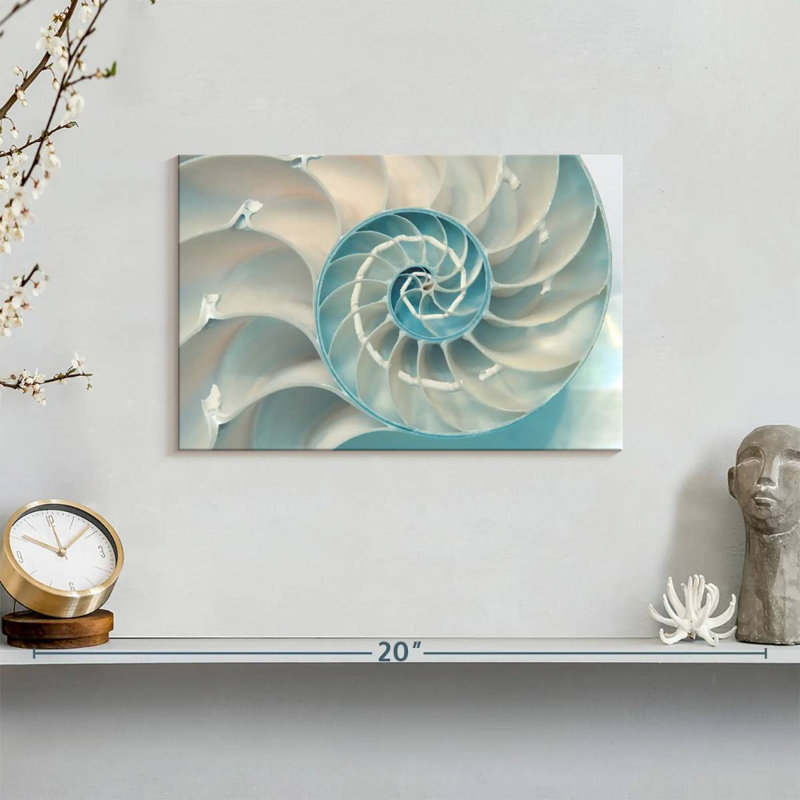 À l'intérieur d'une coquille Nautilus, H 8 po x l 12 po