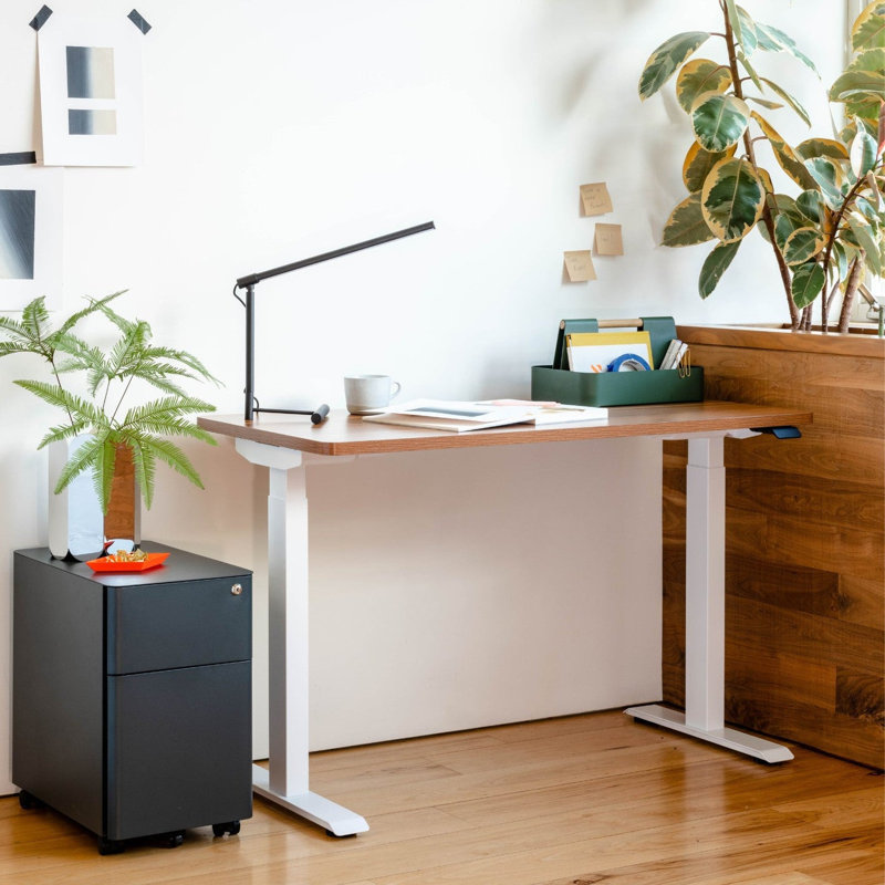 Duo Standing Desk, 47.3" H x 58" W x 27" D, Walnut, White