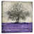 Toile tendue