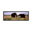 «Panoramic Two African Elephants», Parc national Kruger, Afrique du Sud, reproduction de photo sur toile tendue-492045963-429893759