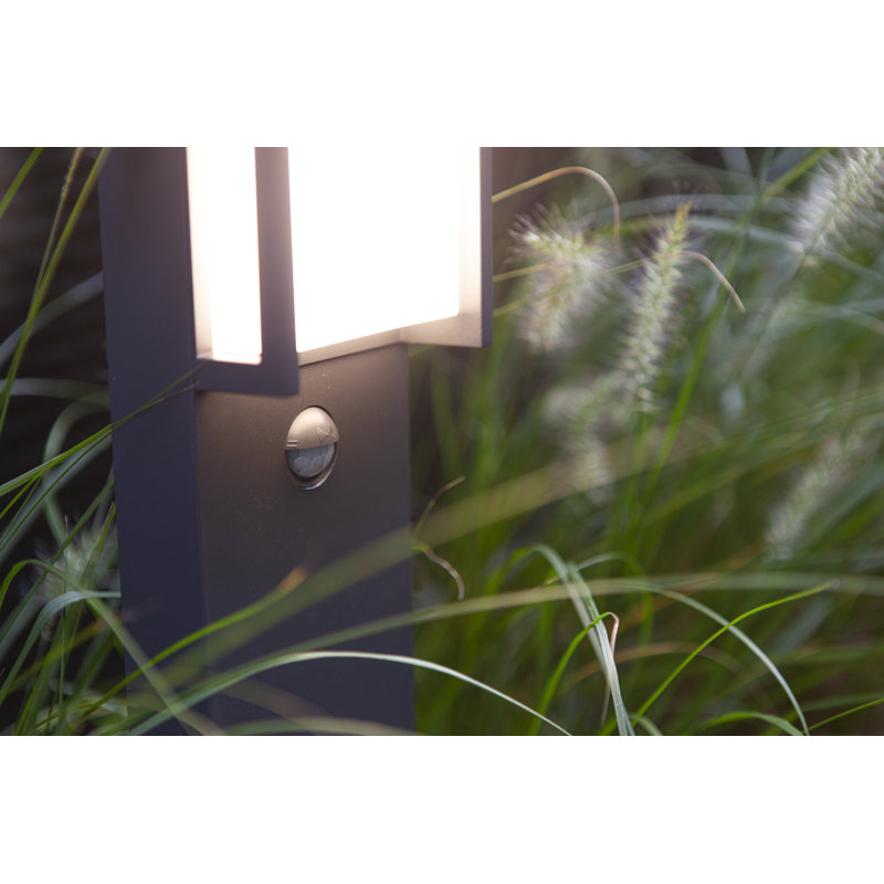 LED path light Axell