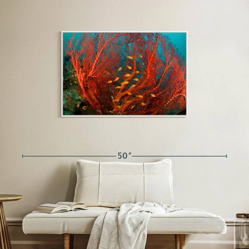 Corail de feu, Cadre flottant blanc, 37 po x 25 po