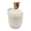 Ceramic Jar