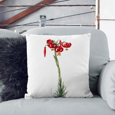 Square Throw Cushion