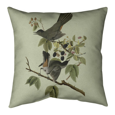 Housse et insert de coussin carré John Bird Audubon