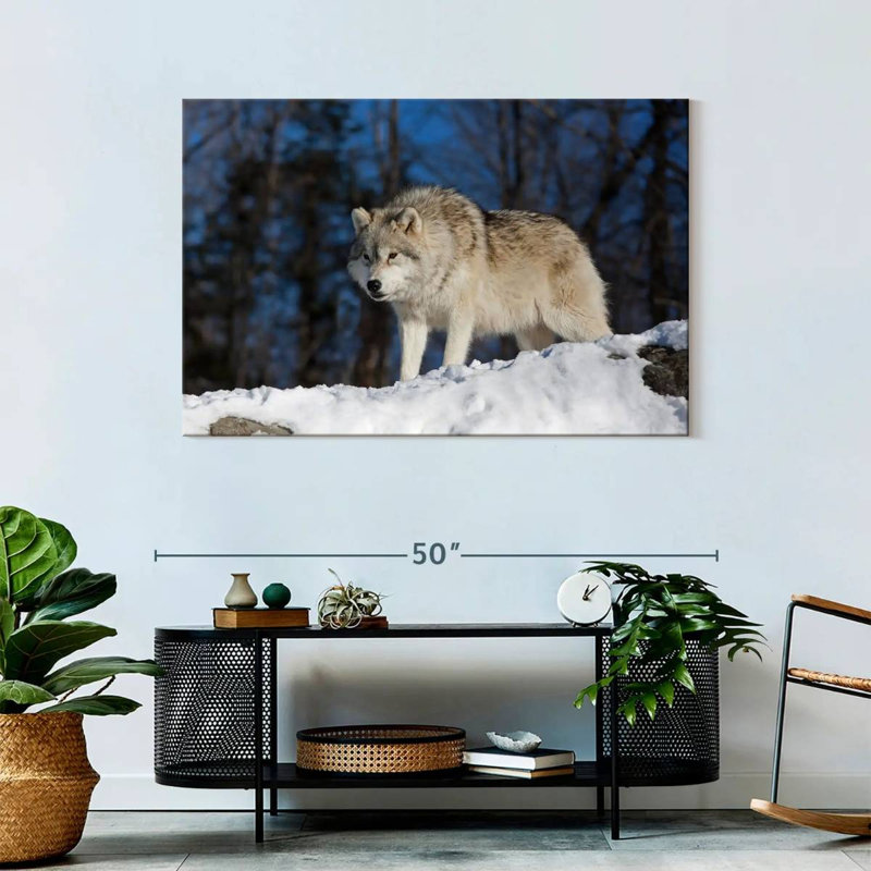 Loup Brampt à l'affût, H 30 po x l 45 po
