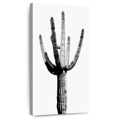 Saguaro noir et blanc I