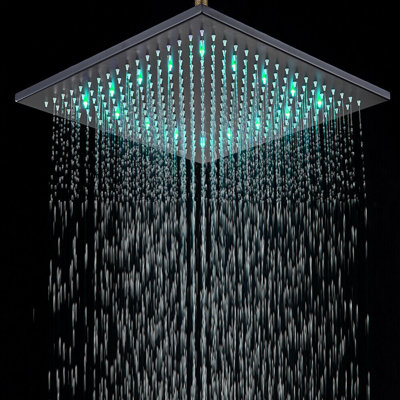 Wellman Rain Adjustable Shower Head