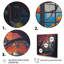 Robinho orange et brunes de Robinho dans une fenêtre II sur toile-88525135-88525136