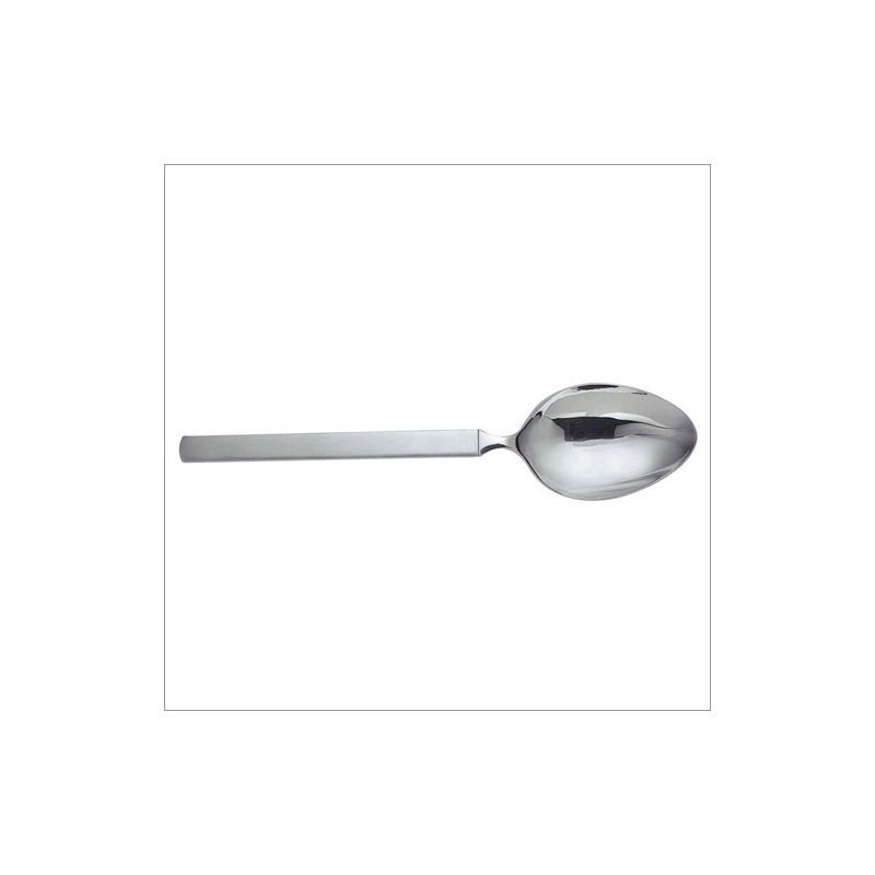 Dry Stainless Steel Serving Spoon