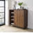 Shoe Cabinet