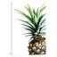 « ananas », impression sur toile-21494553-72009296-72009297