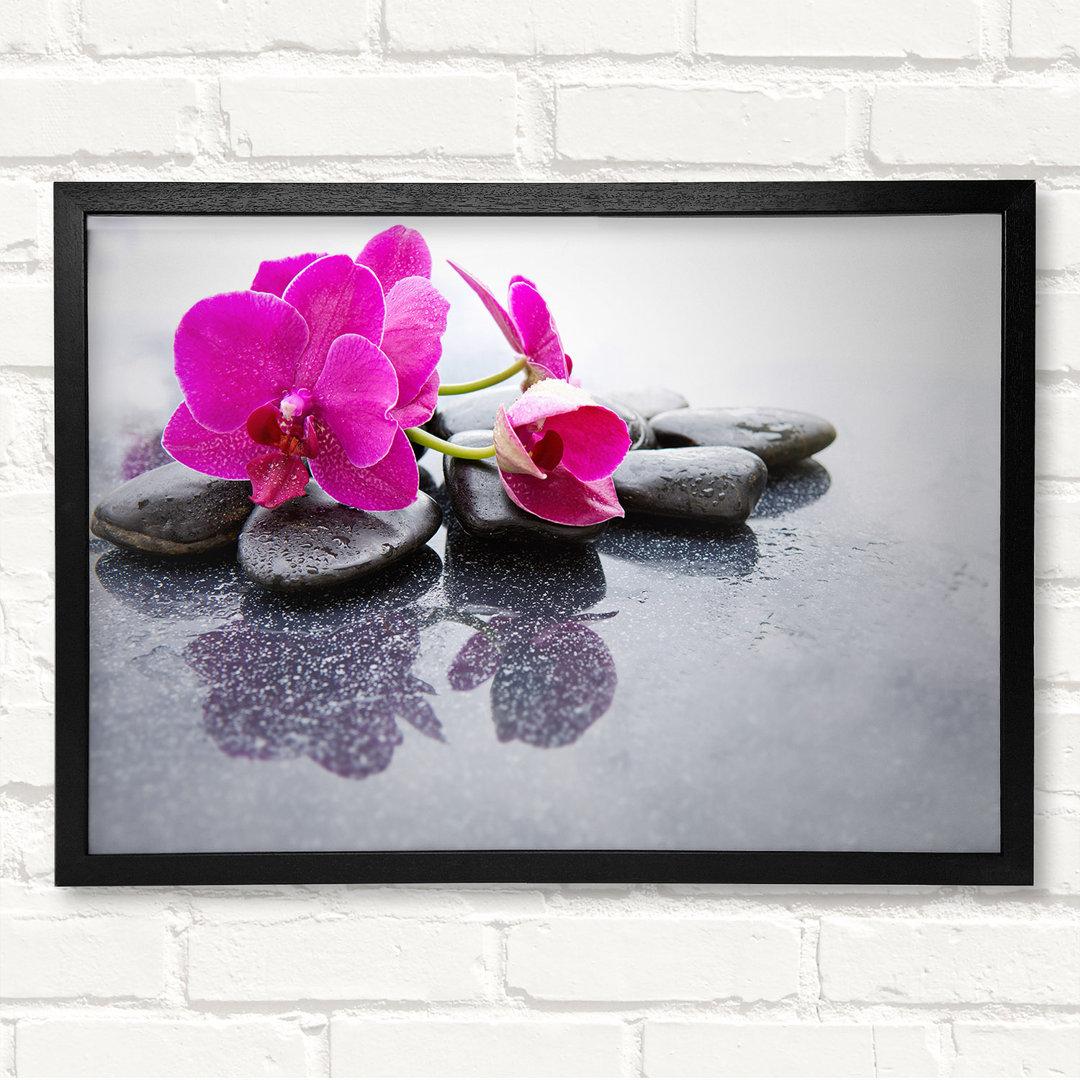 Pink Orchid On The Rocks - Geschlossener Eckrahmen Kunstdrucke auf Holz