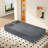 Sleeper Sofa with 2 Pillows (Dark Gray)