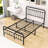 Assunta Metal Platform Bed with Headboard-794205386