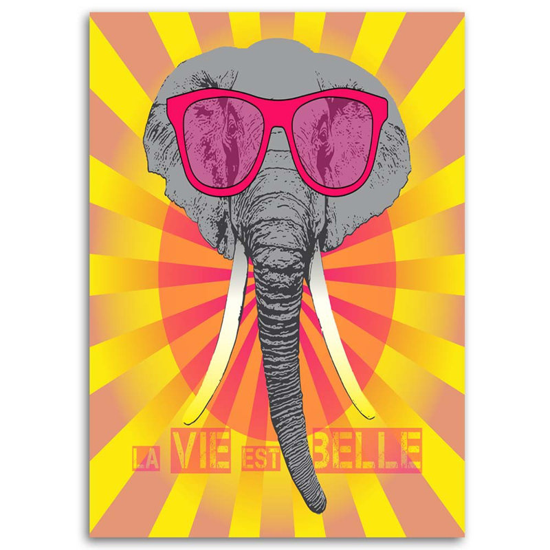 Mural, Elephant With Glasses - Wrapped Canvas Print, 120cm H x 80cm W