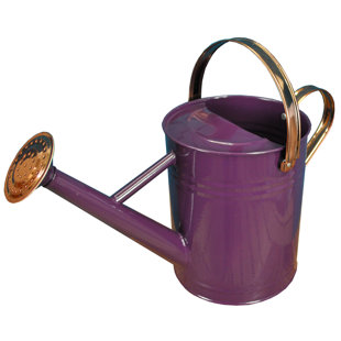 Metal Watering Can