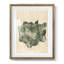 Chlorophylle II-800198874-800198873