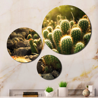 3 Wall Decor Set Metal