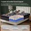 Grand matelas hybride 10 pouces avec housse respirante et froide | Idée de cadeau-630413969