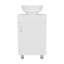 Tacna 18" Wide Free Standing One Door Vanity, With Vessel Porcelain Sink, Bathroom Storage, White-898471374