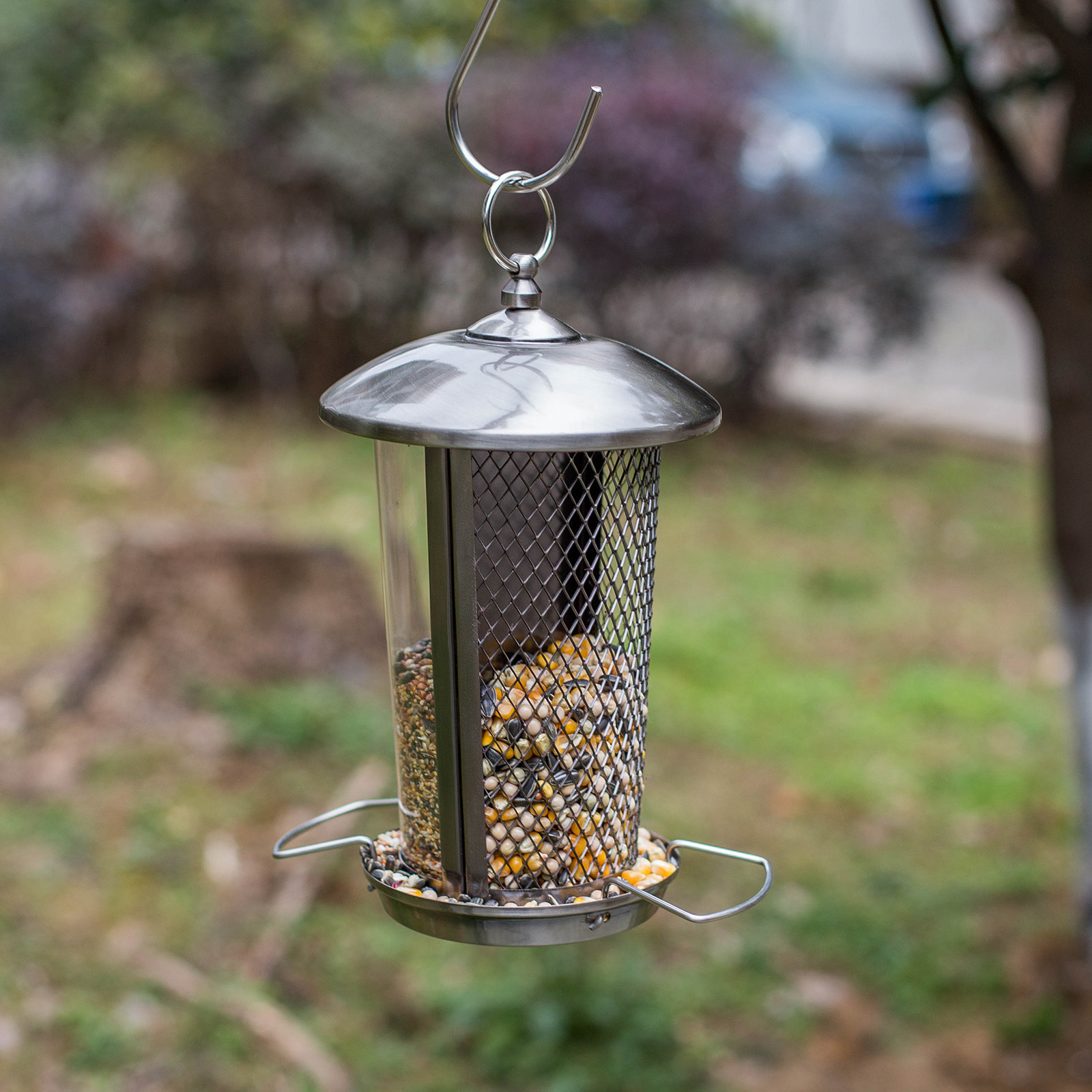 Kingsyard Hanging Hopper Bird Feeder & Reviews | Wayfair