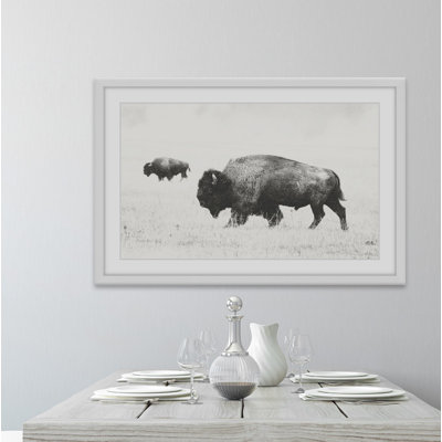 " Buffalo Pair "
