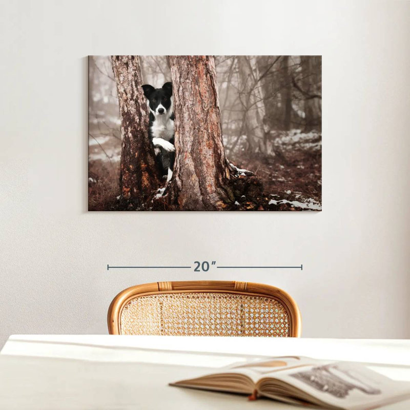Border collie ludique, H 16 po x l 24 po