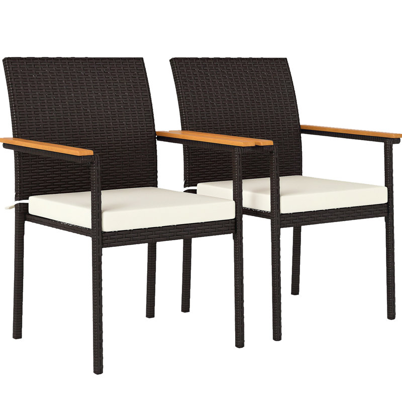 Chaises de salle à manger d'extérieur en rotin avec coussins, dossier, accoudoirs pour terrasse et jardin