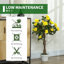90 cm H Faux Plant in Cement Freestanding  Planter-795282795