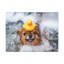No Frame Print on Canvas