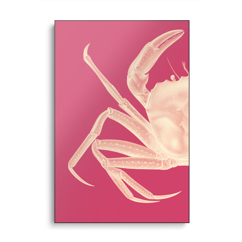 Toile en métal Steemplix - crabe contrastant en rose I par Fab Funky