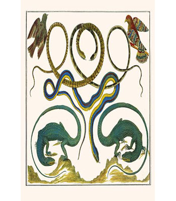 " Serpents Lizards And Birds " by Albertus Seba