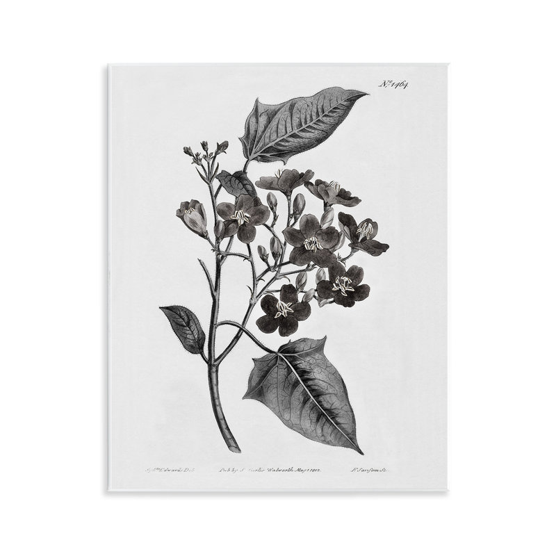 Art mural rétro, "Wild Flower Branch Study", par Kelly Donovan