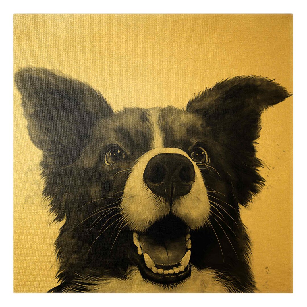 Leinwandbild Illustration Hund Border Collie Schwarz Weiß von Laura Graves