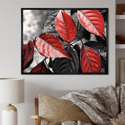 Feuilles rouges et grises sur un arbre V