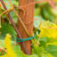 Support pour plante de jardin en fil de formation
