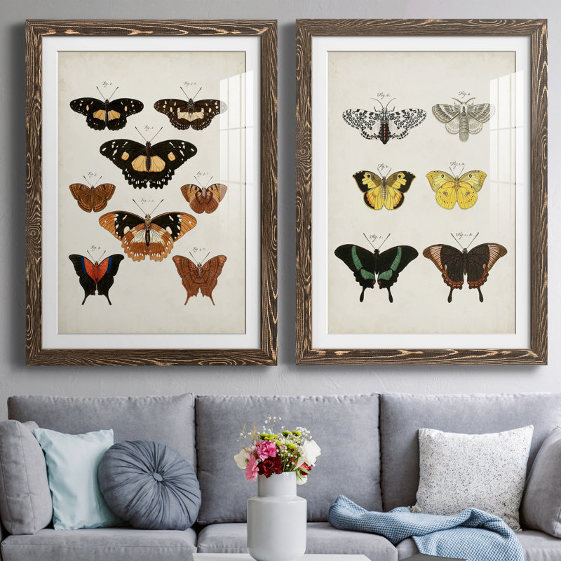 «Vintage Butterflies V», ensemble de 2 impressions encadrées, Papier, cadre noyer, H 31,5 po x l 47 po x P 1,5 po