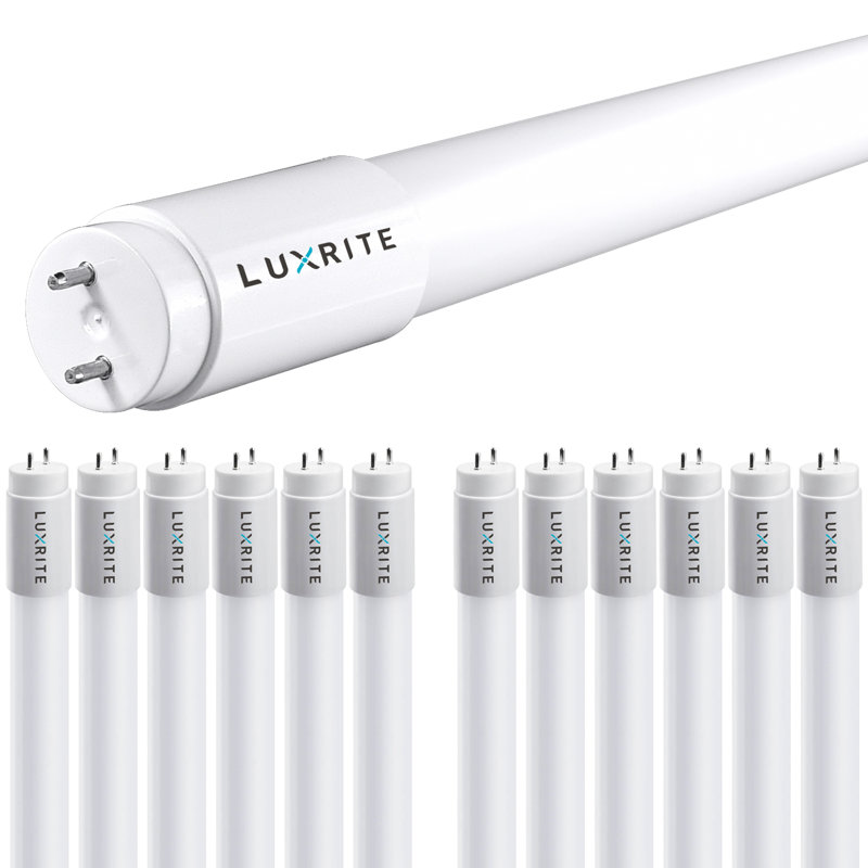 13 watts (32 watts équivalents), DEL T8, ampoule à intensité variable, culot G13 / à deux broches, 6 500 K