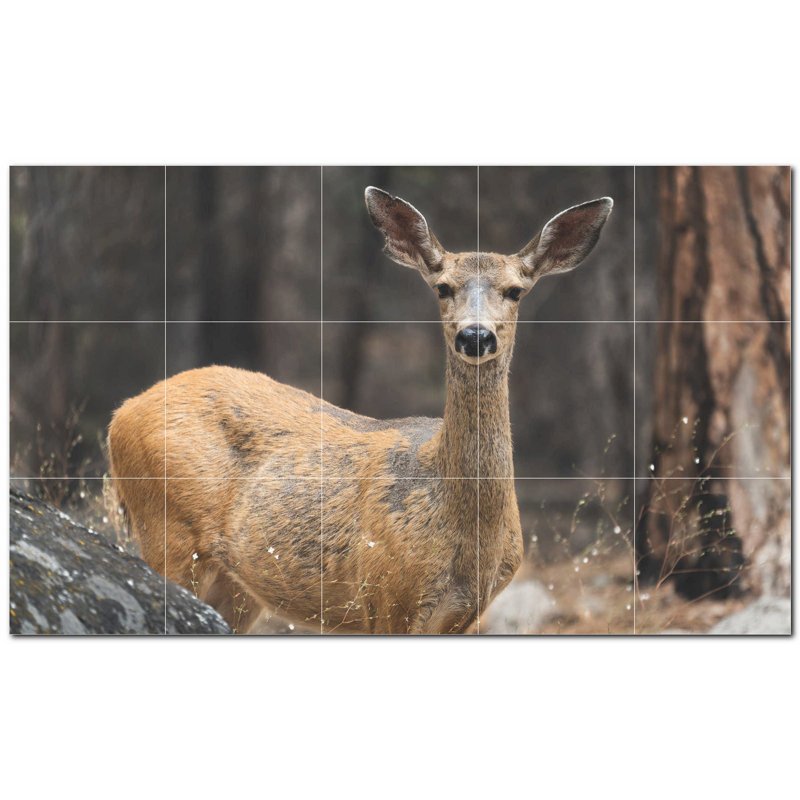 Photo de cerf 4,25 x 4,25